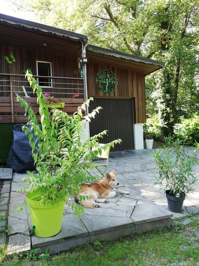Titi'S Chalet ดูร์บี ภายนอก รูปภาพ